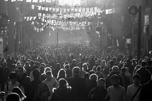 Panneau solaire photovoltaïque : booster l'efficacité énergétique de votre maison